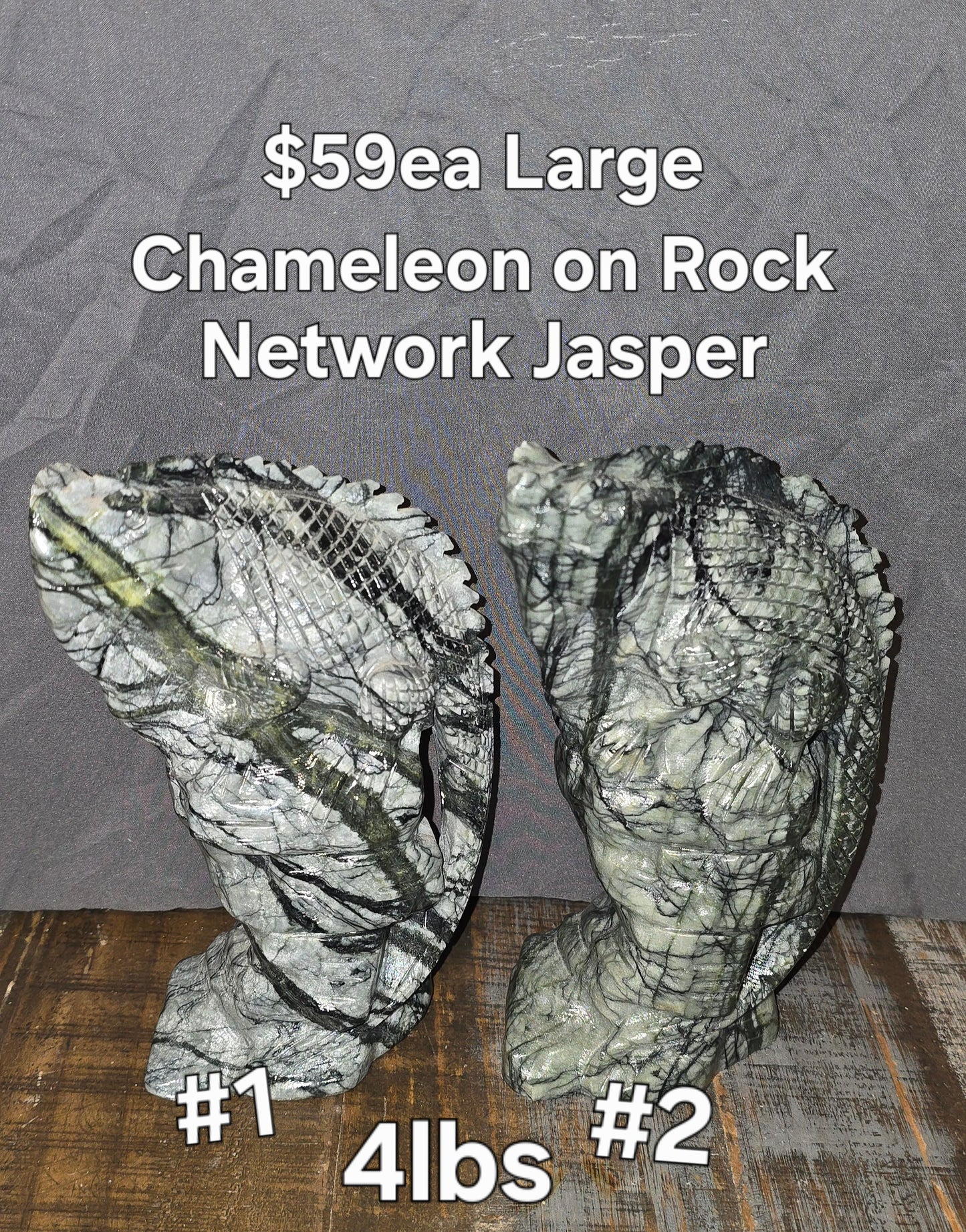 S0315 Network Jasper Chameleon