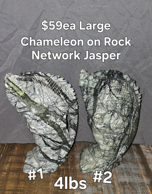S0315 Network Jasper Chameleon