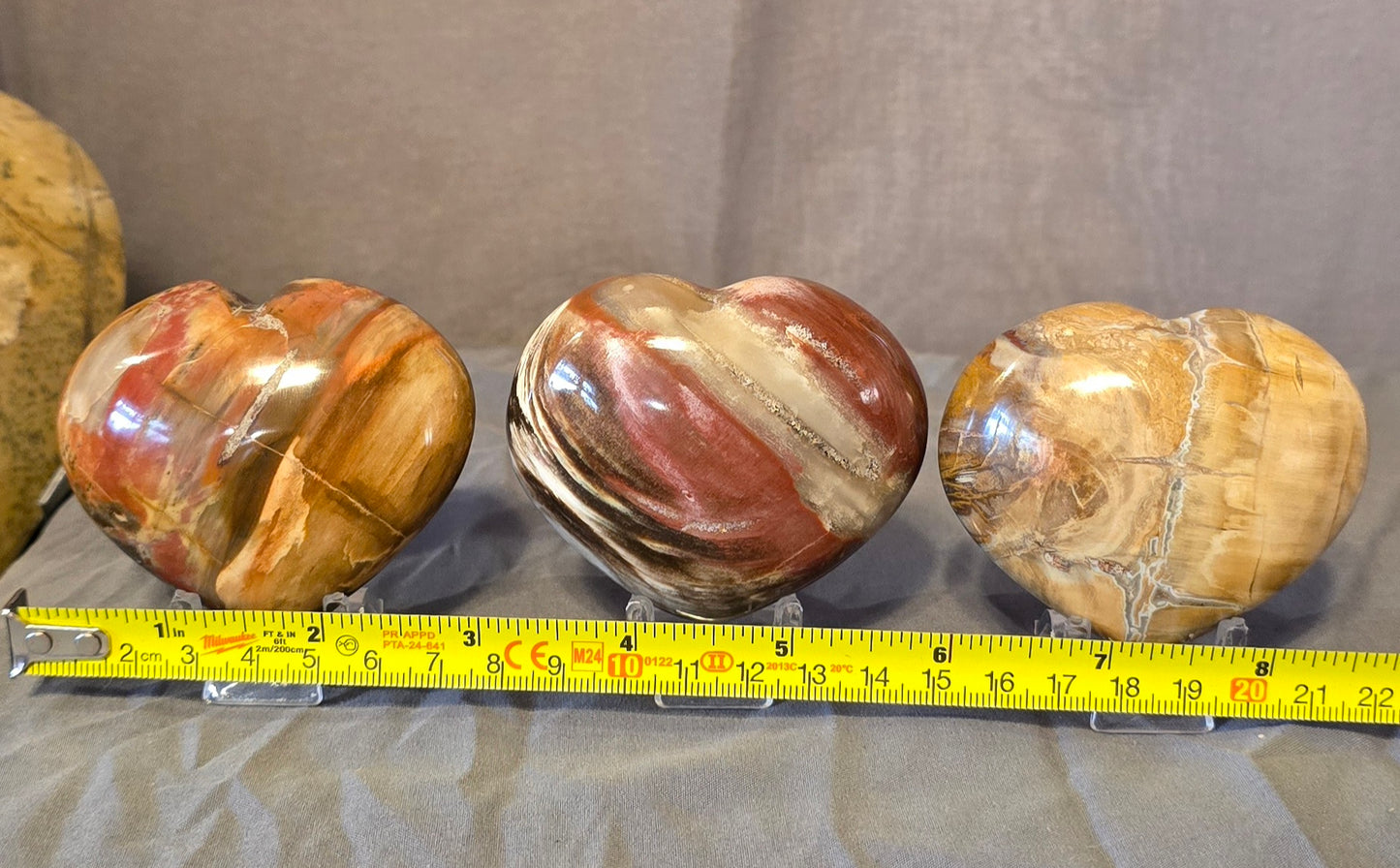 S0351 Petrified Wood Heart