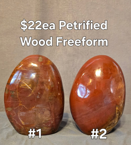 S0346 Petrified Wood Freeform