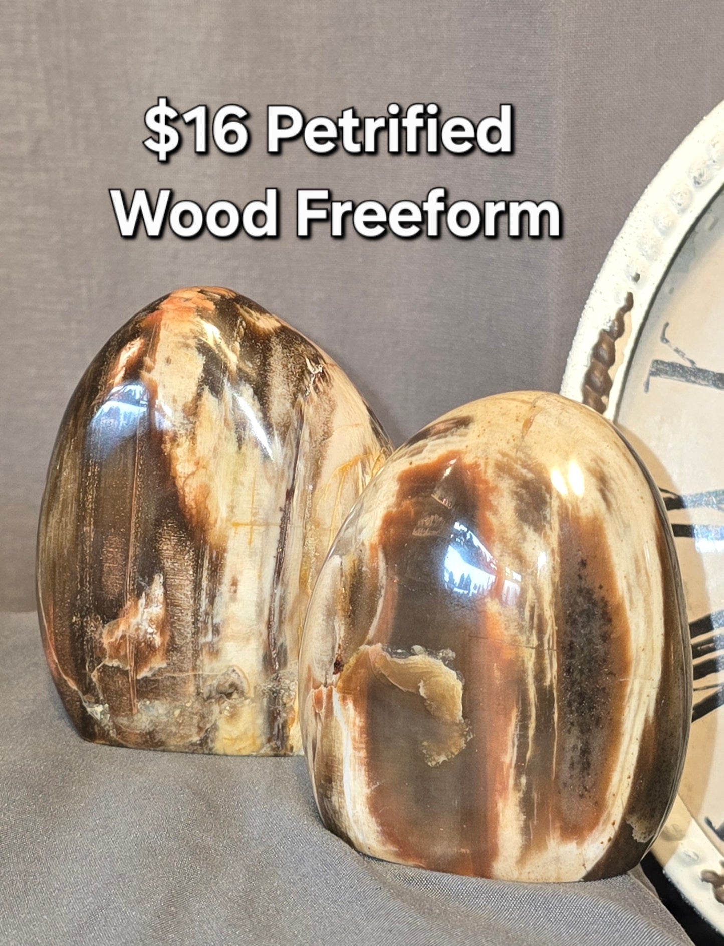Petrified Wood Freeform