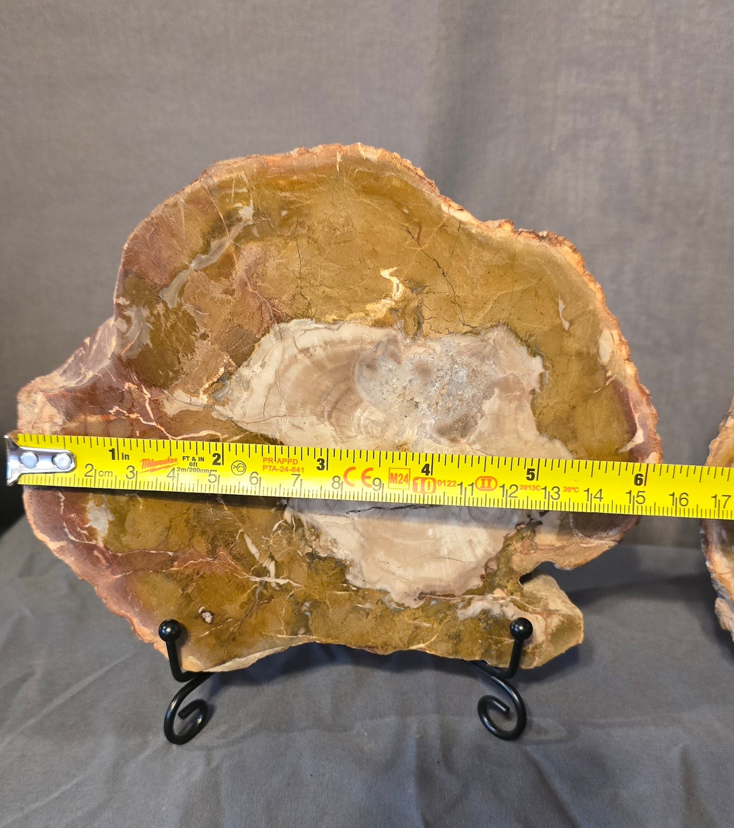 S0243 Petrified Wood Slab