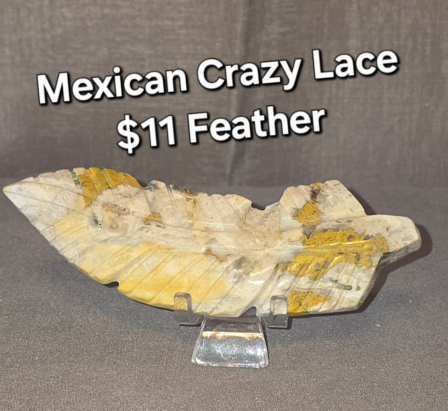 Mexican Crazy Lace Feather