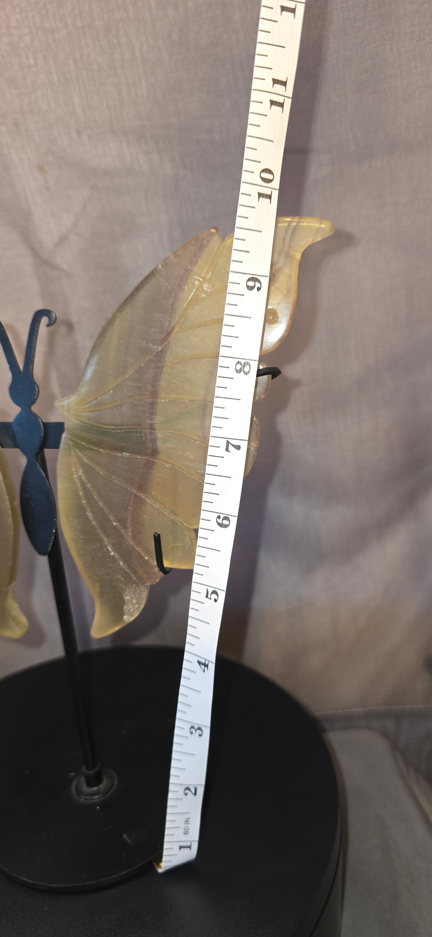 Fluorite Butterfly