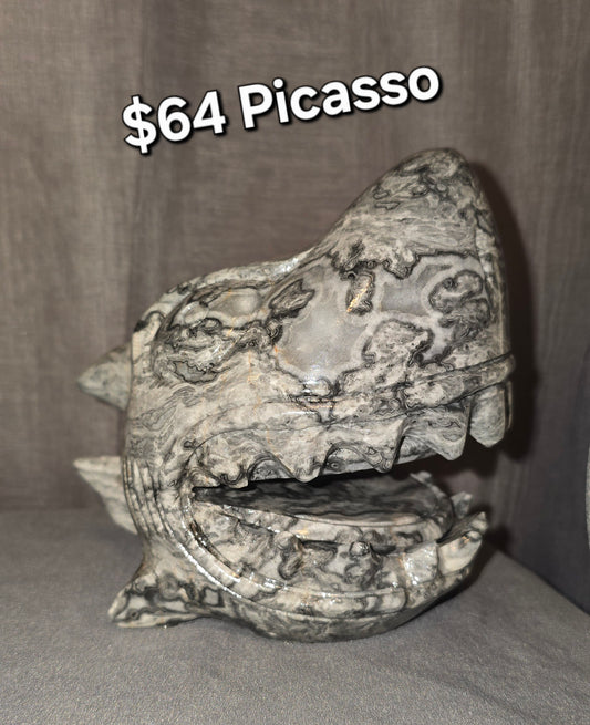 Picasso Jasper Shark