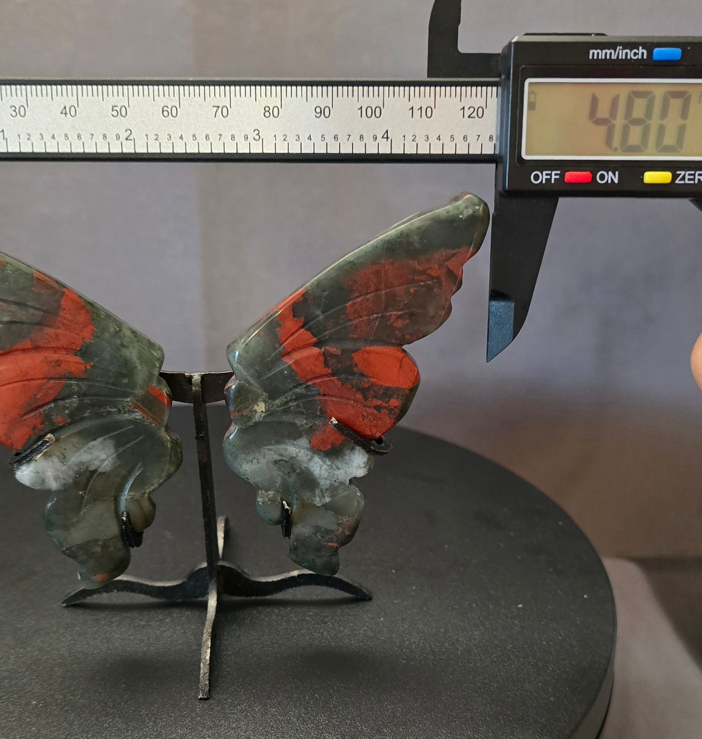 Dragonsblood Butterfly