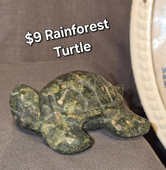 Rainforest Turtle