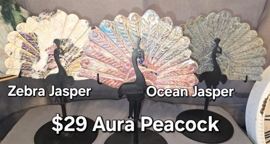 Aura Coated Peacock