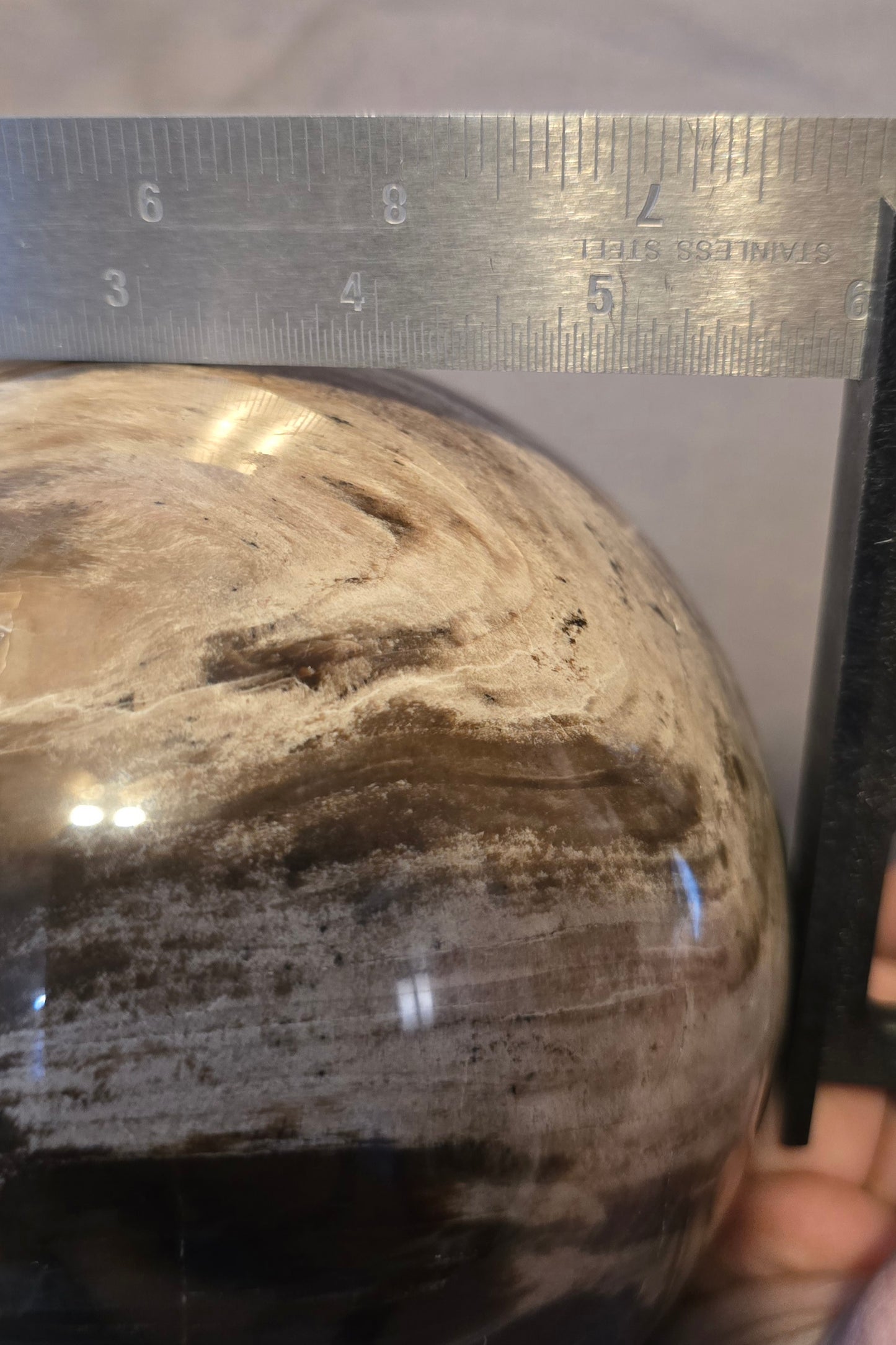 S0323 Petrified Wood Sphere
