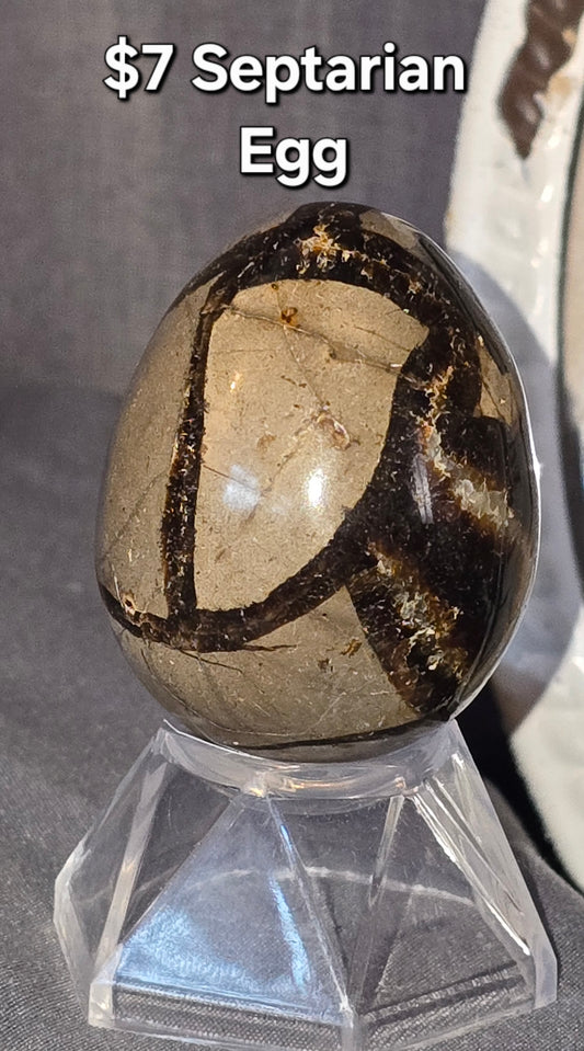 Septarian Egg