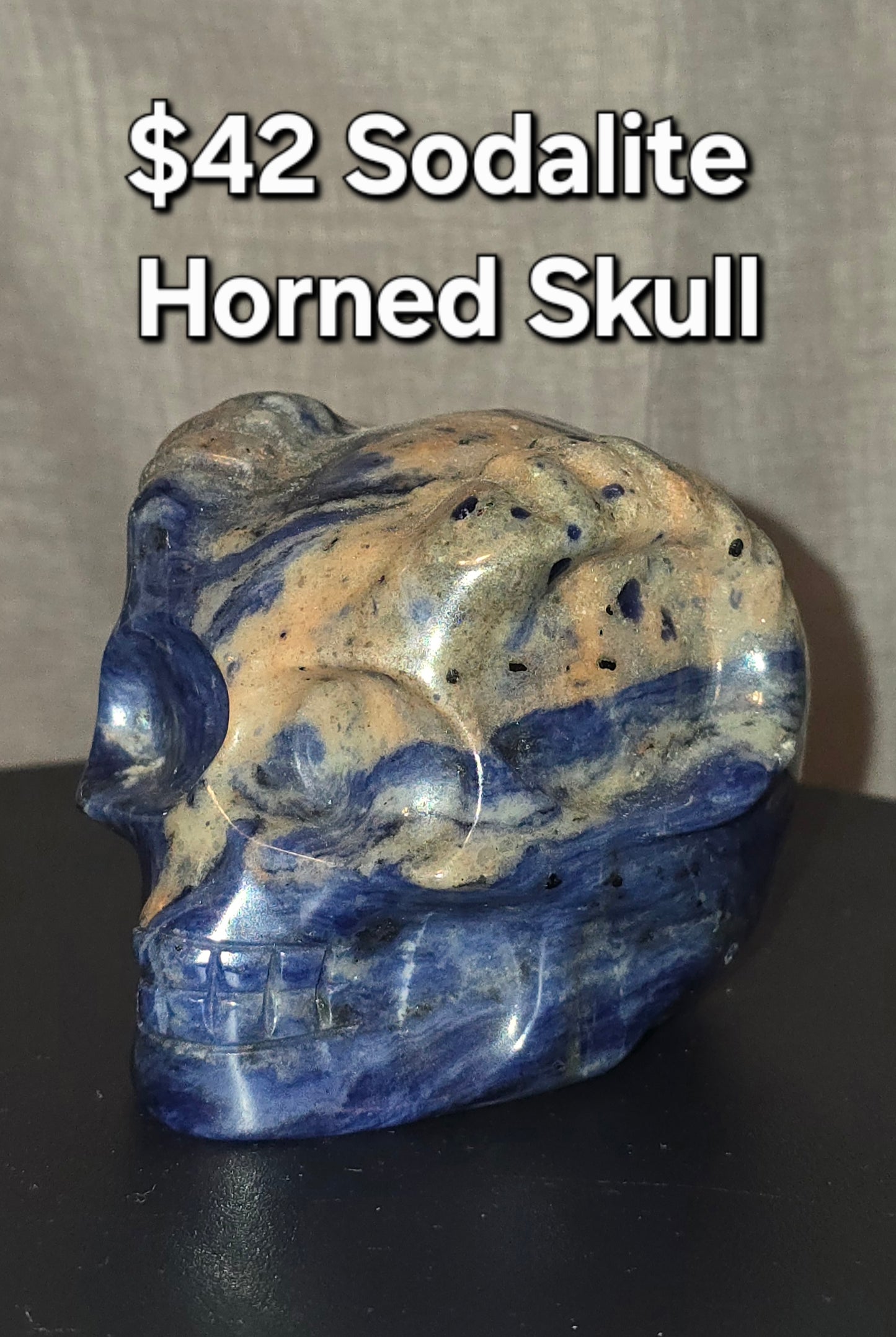 Sodalite Horned Skull