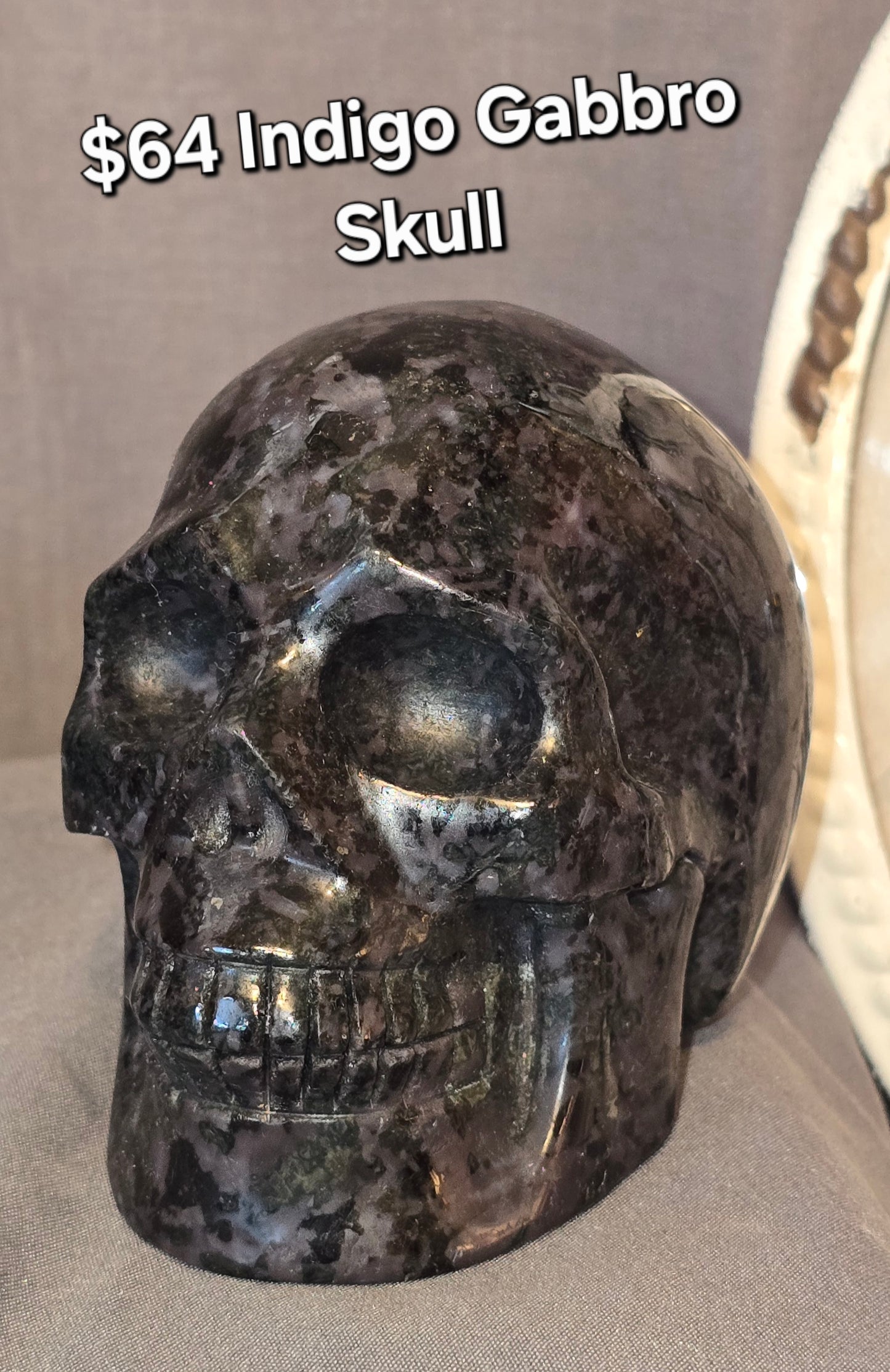 Indigo Gabbro Skull